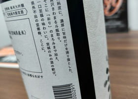 alt 3