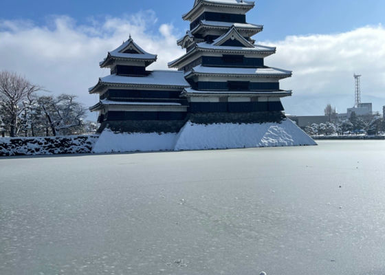 亀の海