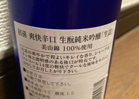 alt 2