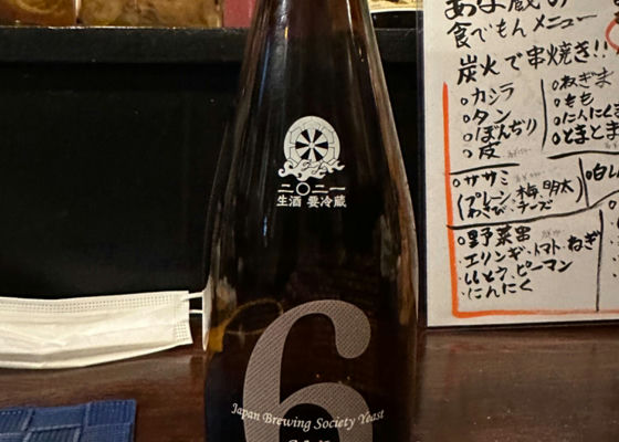 alt 1