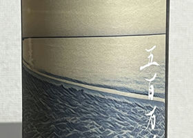 alt 1
