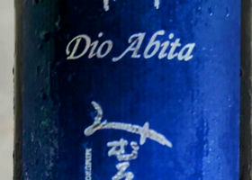 alt 1