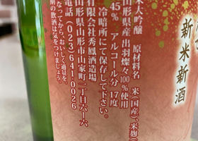 alt 3