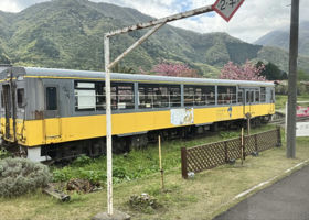 alt 4