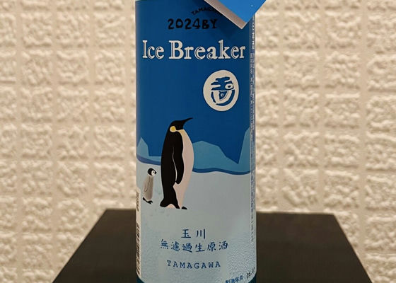 alt 1