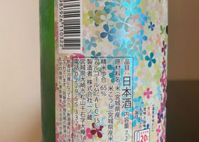 alt 3