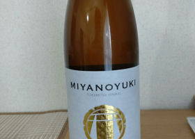 Miyanoyuki Check-in 1