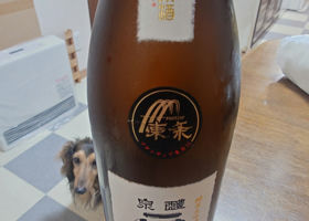 alt 1