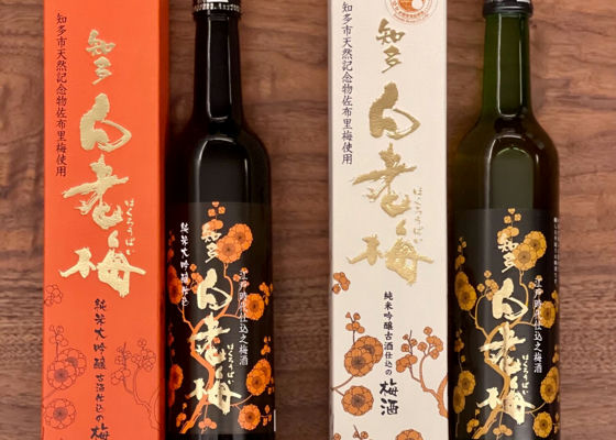 白老