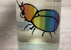仙禽 チェックイン 1