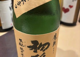 alt 1