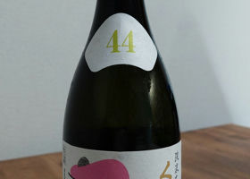 alt 1