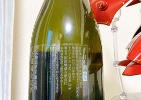 alt 2