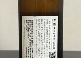 alt 3