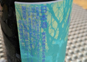 alt 3