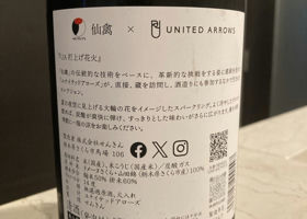 alt 2