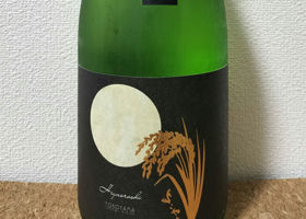 alt 1