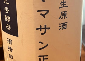 alt 1