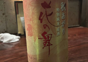 alt 1