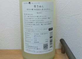 alt 2