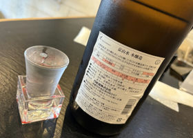 alt 2
