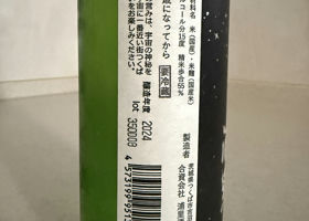 alt 2