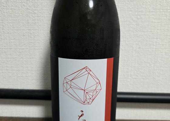 alt 1