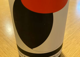 alt 1