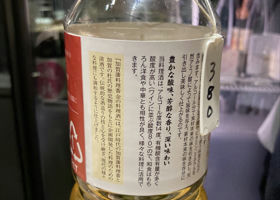 alt 3