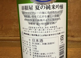 alt 2