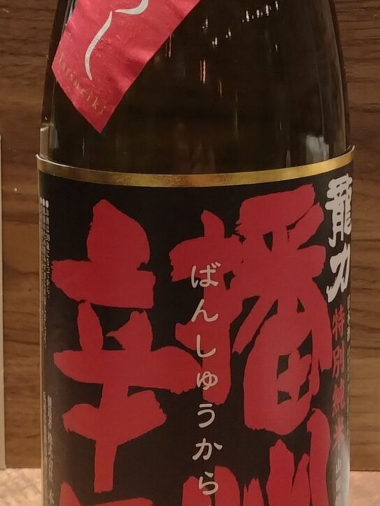 龍力 チェックイン 1