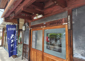 alt 3