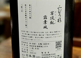 alt 3