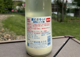alt 2