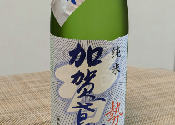 alt 1