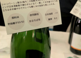 alt 3
