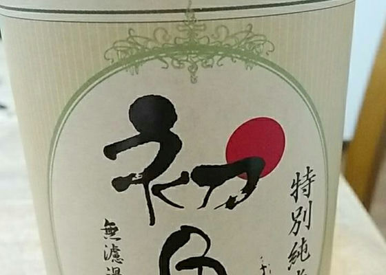 alt 1