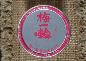alt 4
