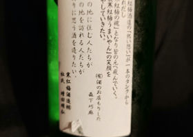 alt 1