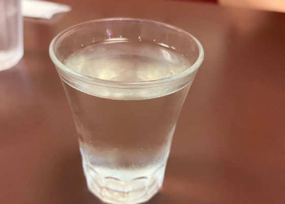 新政