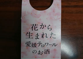 alt 3