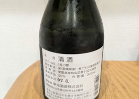 alt 3
