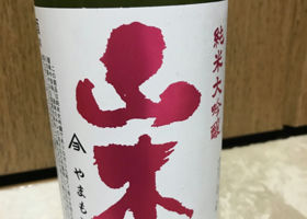 alt 1