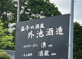 alt 4