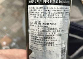 alt 2