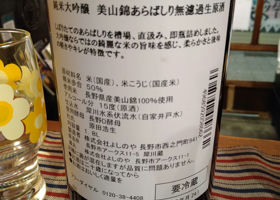alt 3