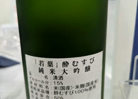 alt 2