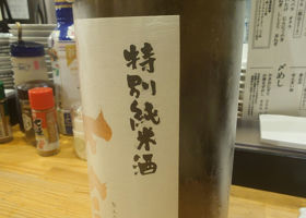 alt 3