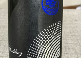 Wakanami Sparkling チェックイン 2