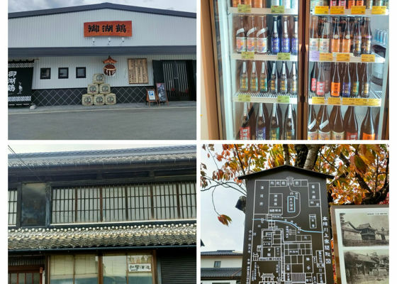 御湖鶴